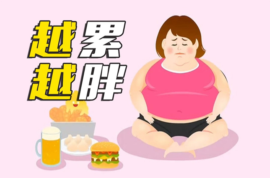 压力调节饮食偏好——体重增加的原因？