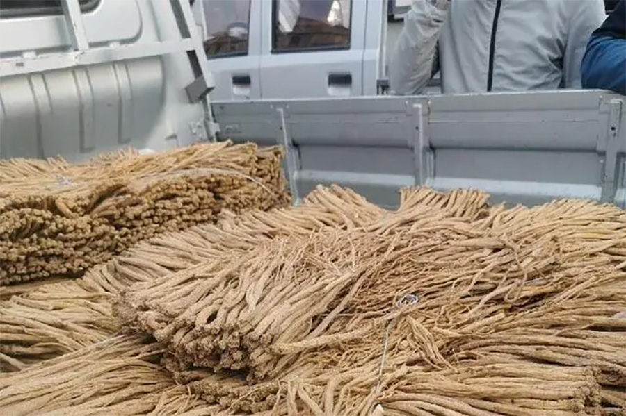 中药材价格持续上涨，建议建立大数据监测预警机制
