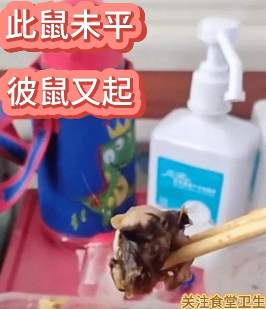 重庆一中医医院食堂盒饭发现老鼠头引发关注，官方展开调查